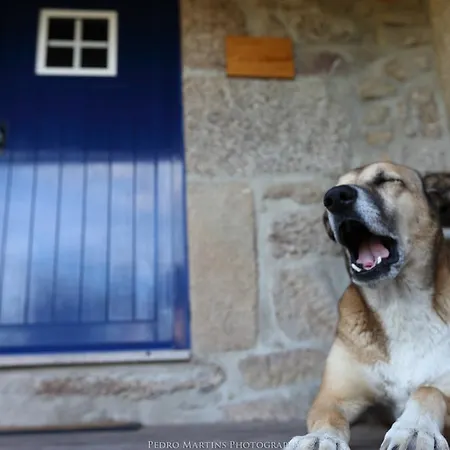 Konukevi Casas Do Pastor